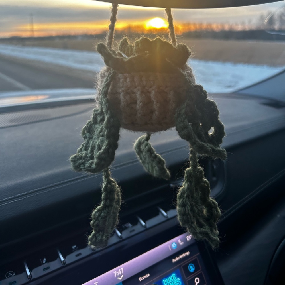 New Crochet Car Hanging Plant